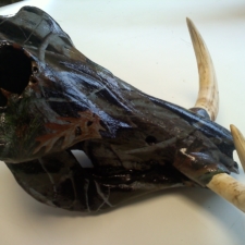 African warthog skull camo dipped right side