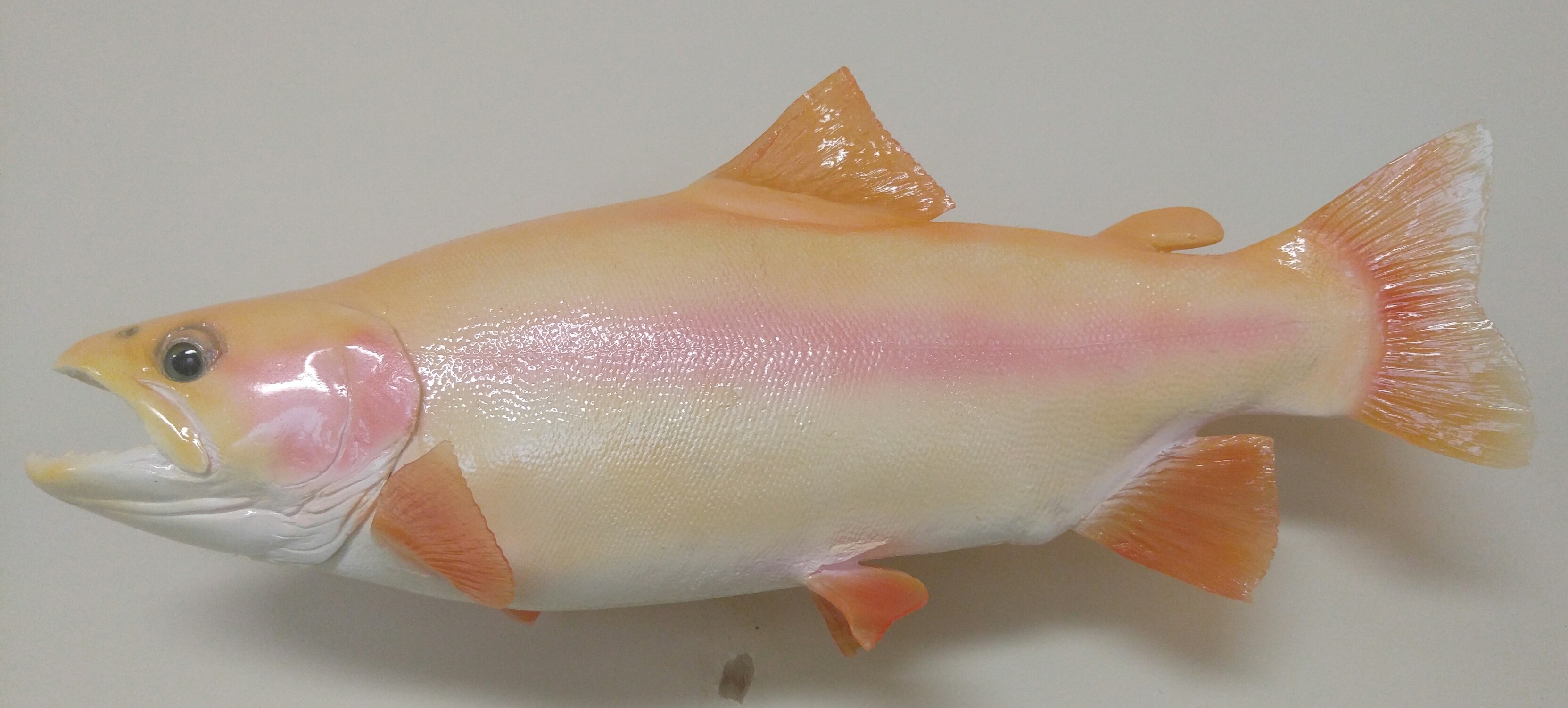 Ed Shirts Palamino Reproduction