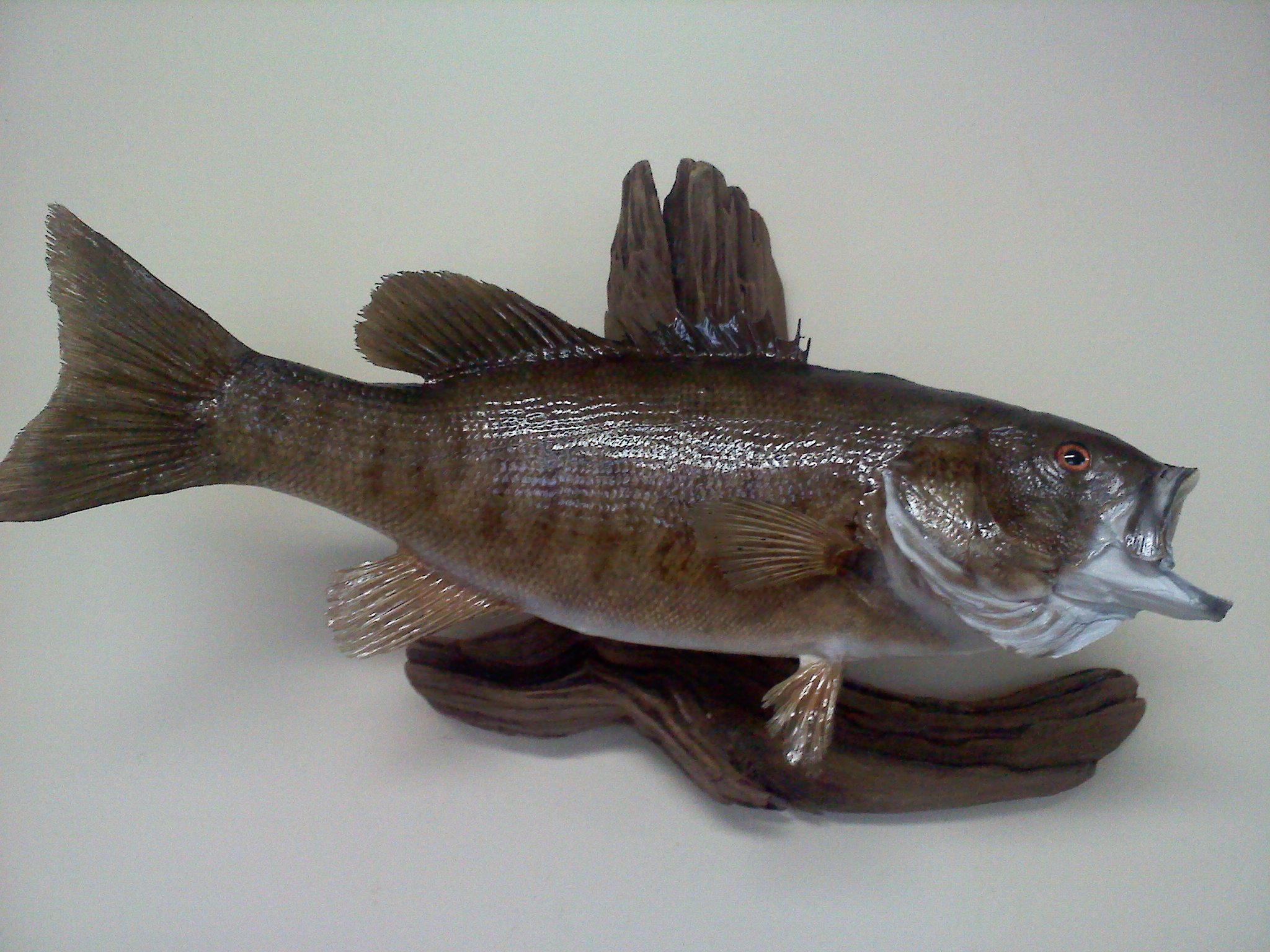 Ron Glossinger Smallmouth Bass