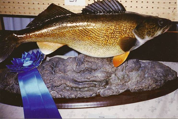 Walleye2